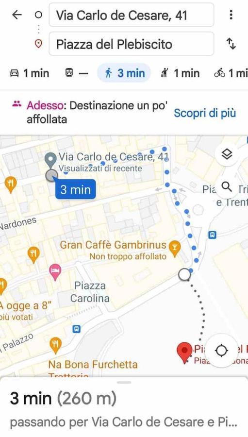 Traversa Toledo, Intero Appartamento Al Plebiscito 那不勒斯 外观 照片