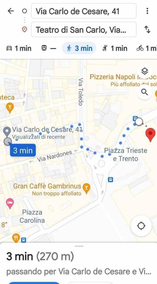 Traversa Toledo, Intero Appartamento Al Plebiscito 那不勒斯 外观 照片